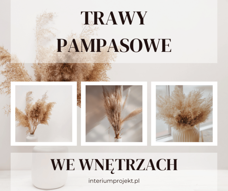 trawy pampasowe we wnętrzach